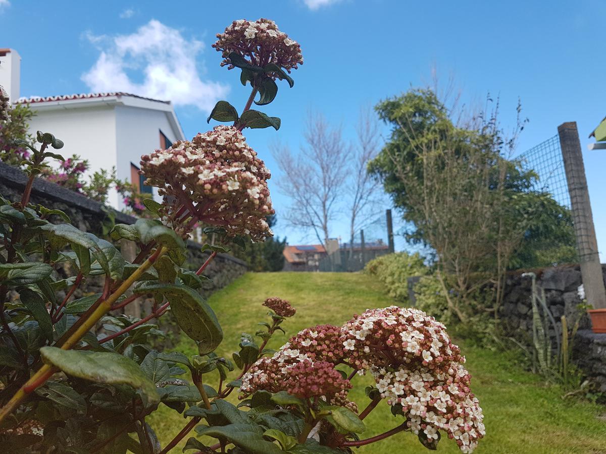 Stonewood Lodge Al São Vicente Ferreira Esterno foto